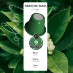 Lungo Capsules – Dark Roast - Image 2